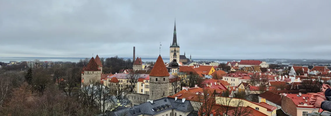 De daken en torens van de oude stad van Tallinn, gezien vanaf de Toompea-heuvel in de winter
