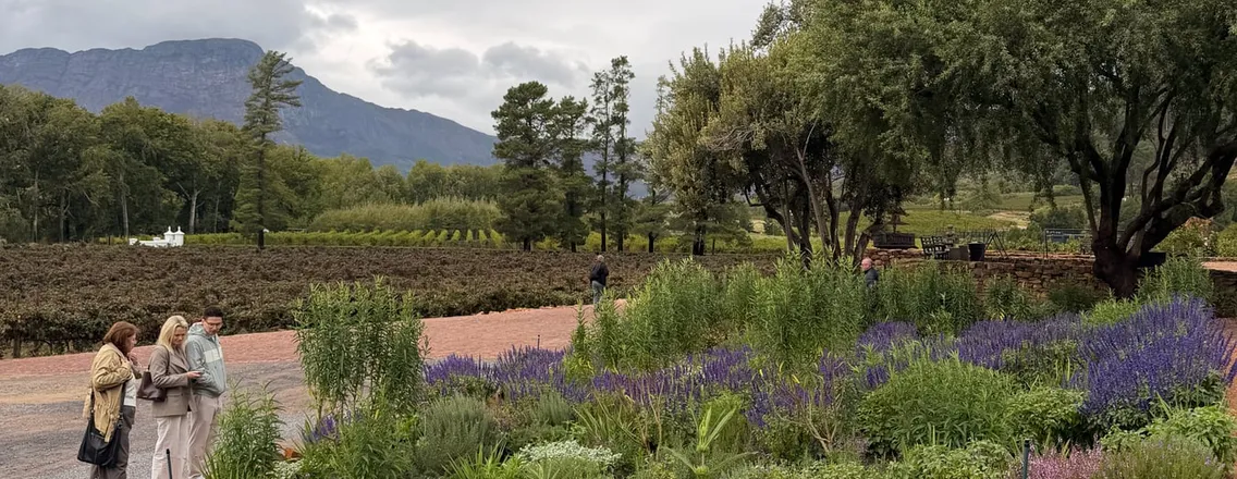 Tuin met lavendelborders in Franschhoek, met de bergen van de vallei op de achtergrond