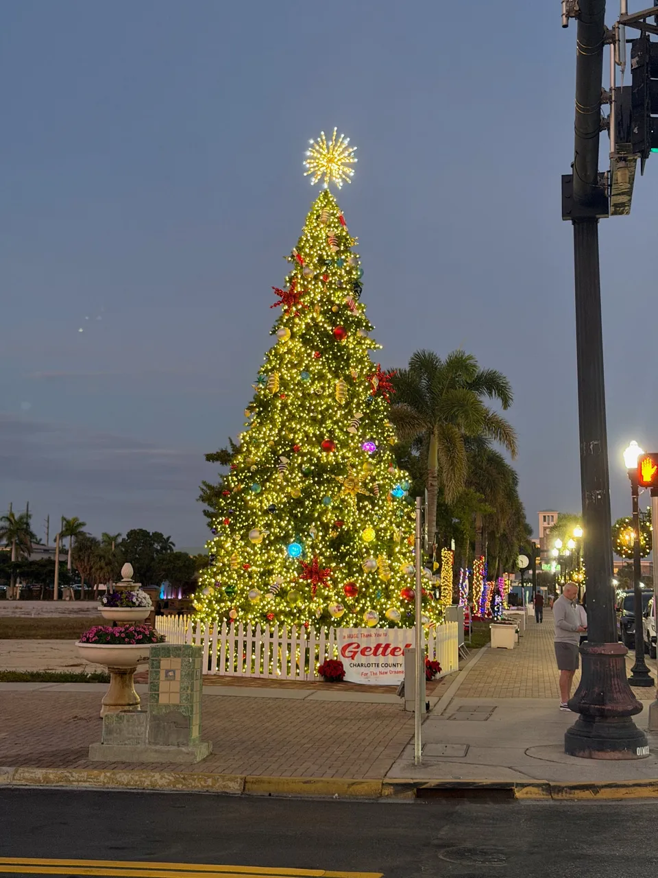 Grote verlichte kerstboom in Punta Gorda met palmen op de achtergrond