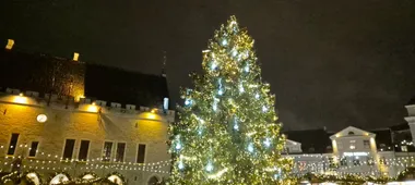 De verlichte kerstboom en kerstmarkt op het Raadhuisplein van Tallinn in de avond