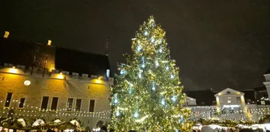 De verlichte kerstboom en kerstmarkt op het Raadhuisplein van Tallinn in de avond