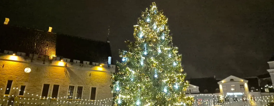 De verlichte kerstboom en kerstmarkt op het Raadhuisplein van Tallinn in de avond