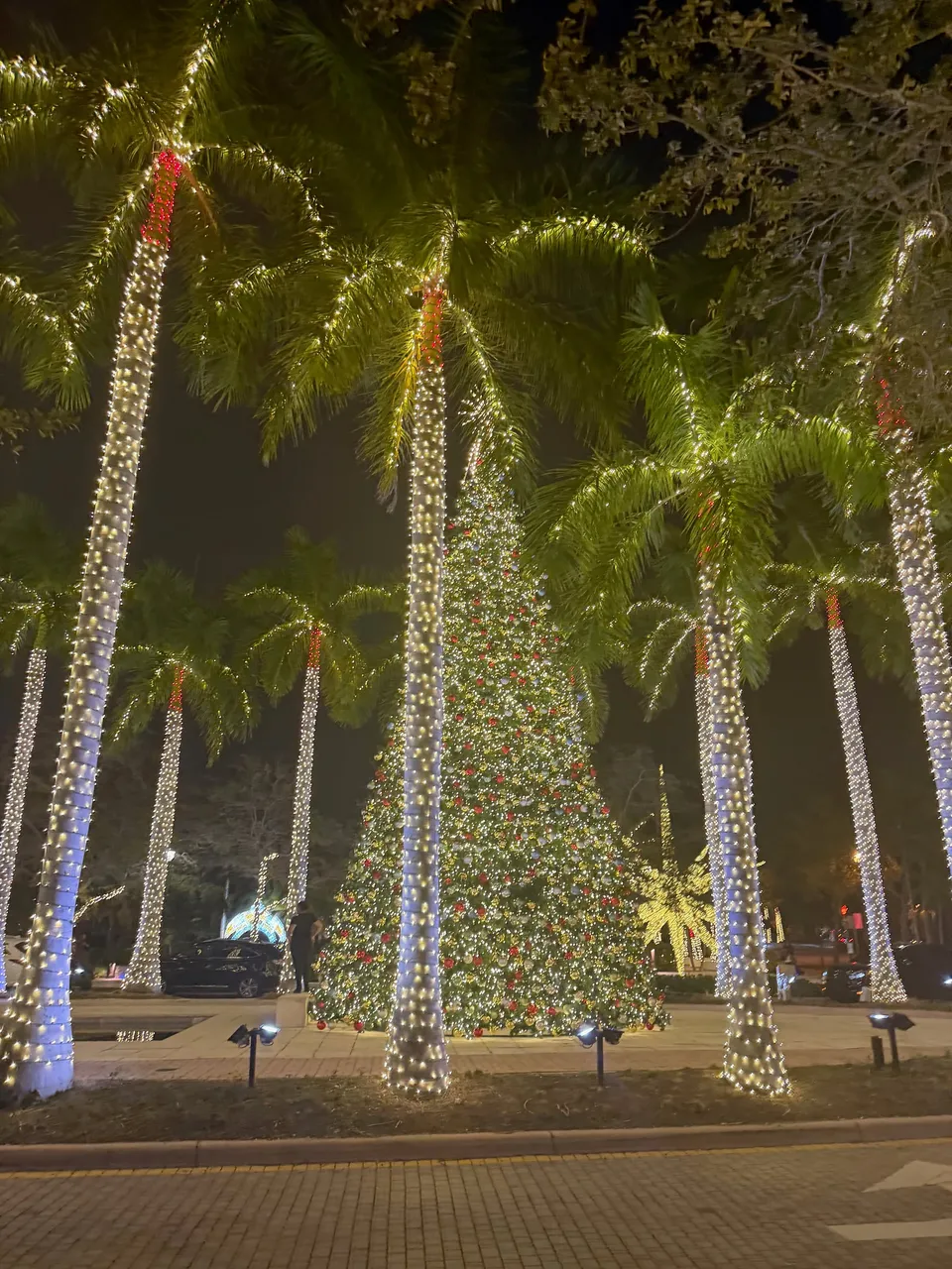 Verlichte palmen rond een grote kerstboom bij Miami
