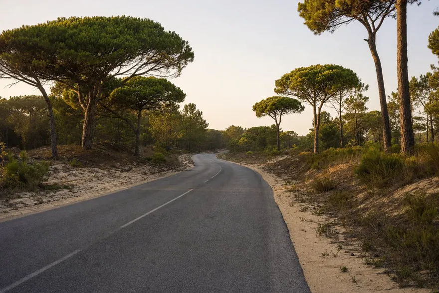 Een kustweg in Portugal met duinen en dennen langs de weg
