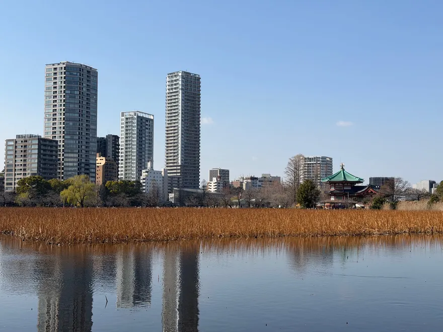 De Shinobazu-vijver in Ueno met riet op de voorgrond en woontorens aan de overkant
