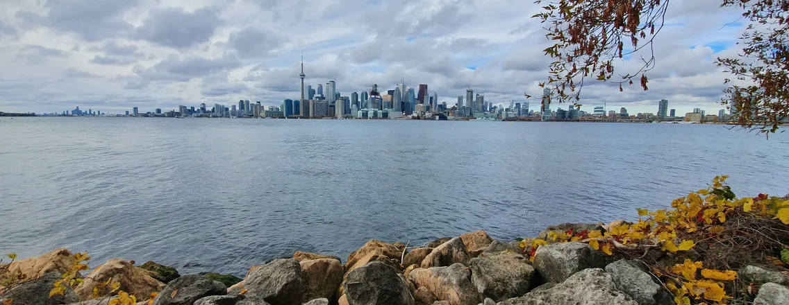 De skyline van Toronto met de CN Tower, gezien vanaf de Toronto Islands over het water