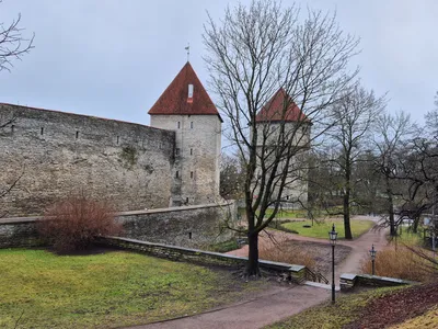De middeleeuwse stadsmuur van Tallinn met twee torens met rode spitsen, op een grijze winterdag