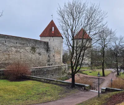 De middeleeuwse stadsmuur van Tallinn met twee torens met rode spitsen, op een grijze winterdag