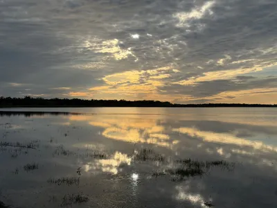 Zonlicht door wolken boven stil water bij Myakka in december