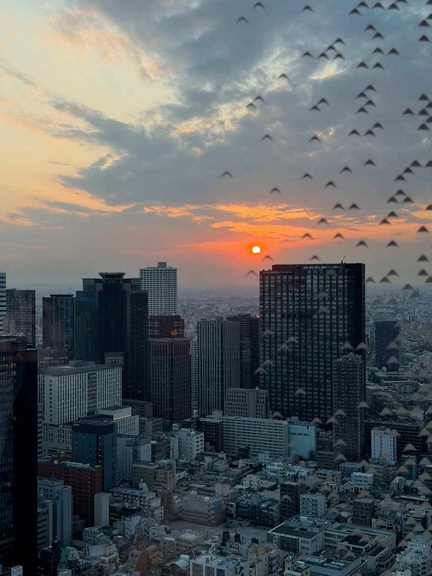 Zonsondergang over de daken van Tokyo met een zwerm vogels, gezien vanaf een hoge verdieping